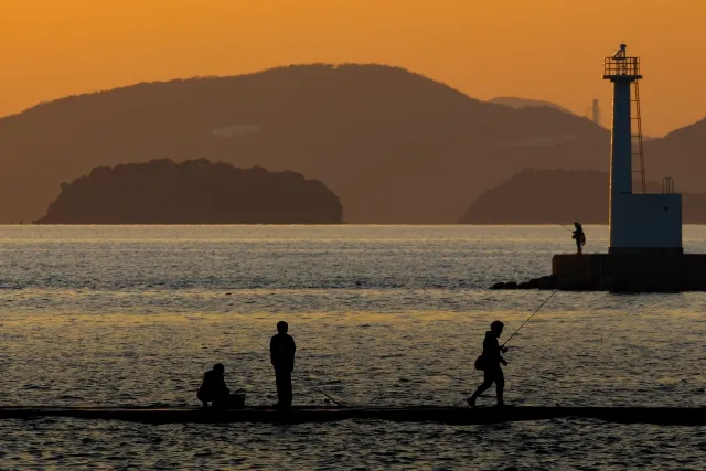 朝凪と夕凪の原因について詳しく解説！風の動きの謎を解き明かす！ | Insightilo